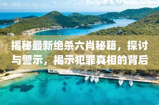 揭秘最新绝杀六肖秘籍，探讨与警示，揭示犯罪真相的背后