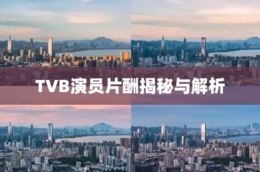 TVB演员片酬揭秘与解析