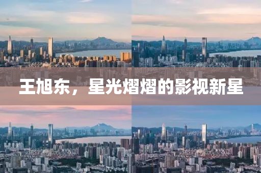王旭东，星光熠熠的影视新星