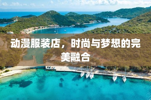 动漫服装店，时尚与梦想的完美融合