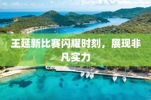 王延新比赛闪耀时刻，展现非凡实力
