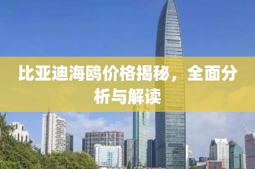 比亚迪海鸥价格揭秘，全面分析与解读