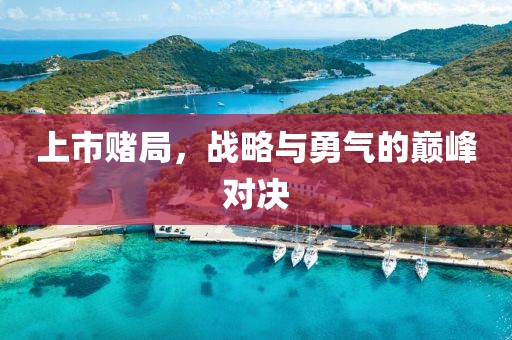 上市赌局，战略与勇气的巅峰对决