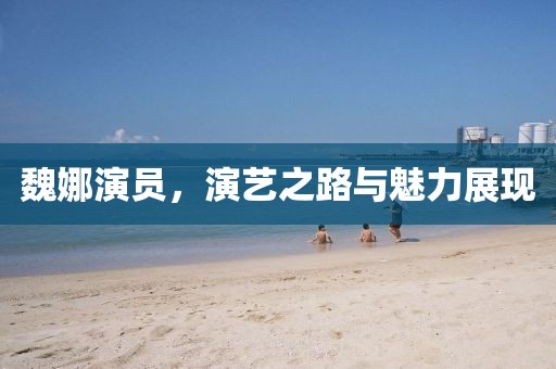 魏娜演员，演艺之路与魅力展现