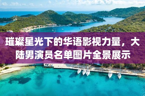 璀璨星光下的华语影视力量，大陆男演员名单图片全景展示