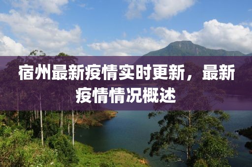 宿州最新疫情实时更新，最新疫情情况概述