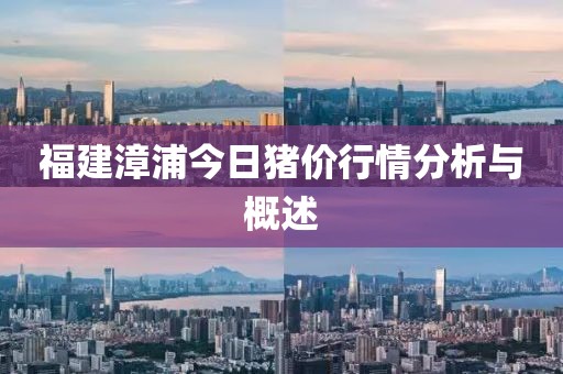 福建漳浦今日猪价行情分析与概述