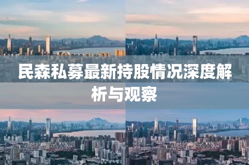 民森私募最新持股情况深度解析与观察