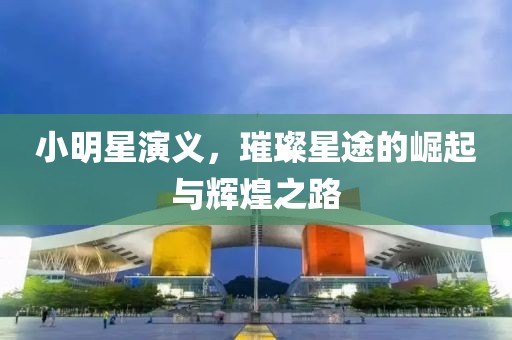 小明星演义，璀璨星途的崛起与辉煌之路