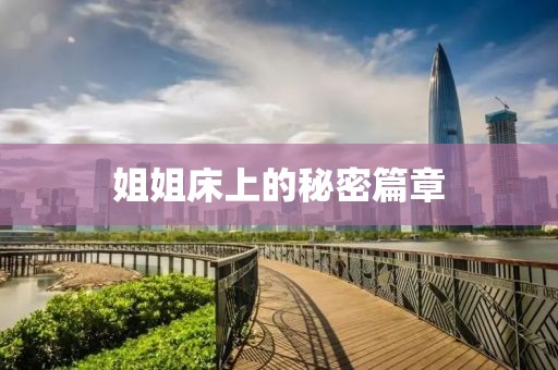 姐姐床上的秘密篇章