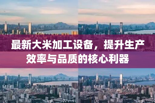 最新大米加工设备，提升生产效率与品质的核心利器