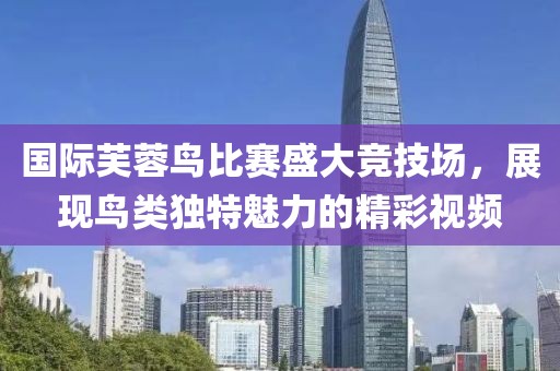 国际芙蓉鸟比赛盛大竞技场，展现鸟类独特魅力的精彩视频