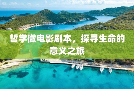 哲学微电影剧本，探寻生命的意义之旅