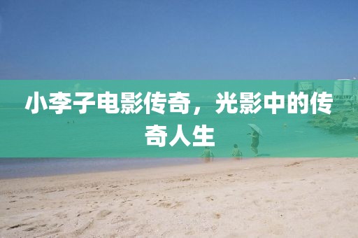 小乌龟 第17页