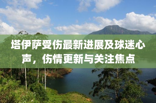塔伊萨受伤最新进展及球迷心声，伤情更新与关注焦点