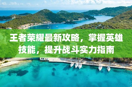 王者荣耀最新攻略，掌握英雄技能，提升战斗实力指南
