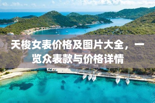 天梭女表价格及图片大全，一览众表款与价格详情