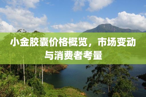 小金胶囊价格概览，市场变动与消费者考量