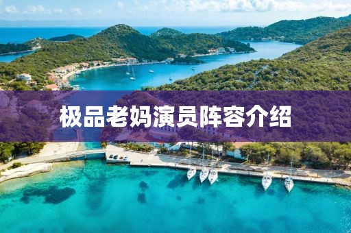 极品老妈演员阵容介绍