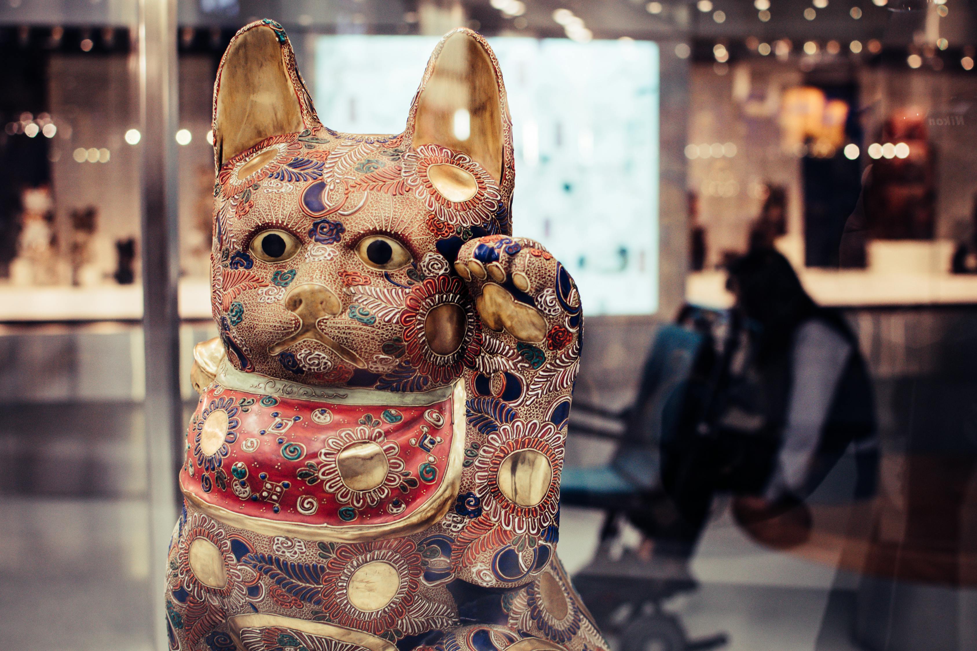 大连未来城蓬勃发展揭秘，最新动态展现城市新面貌