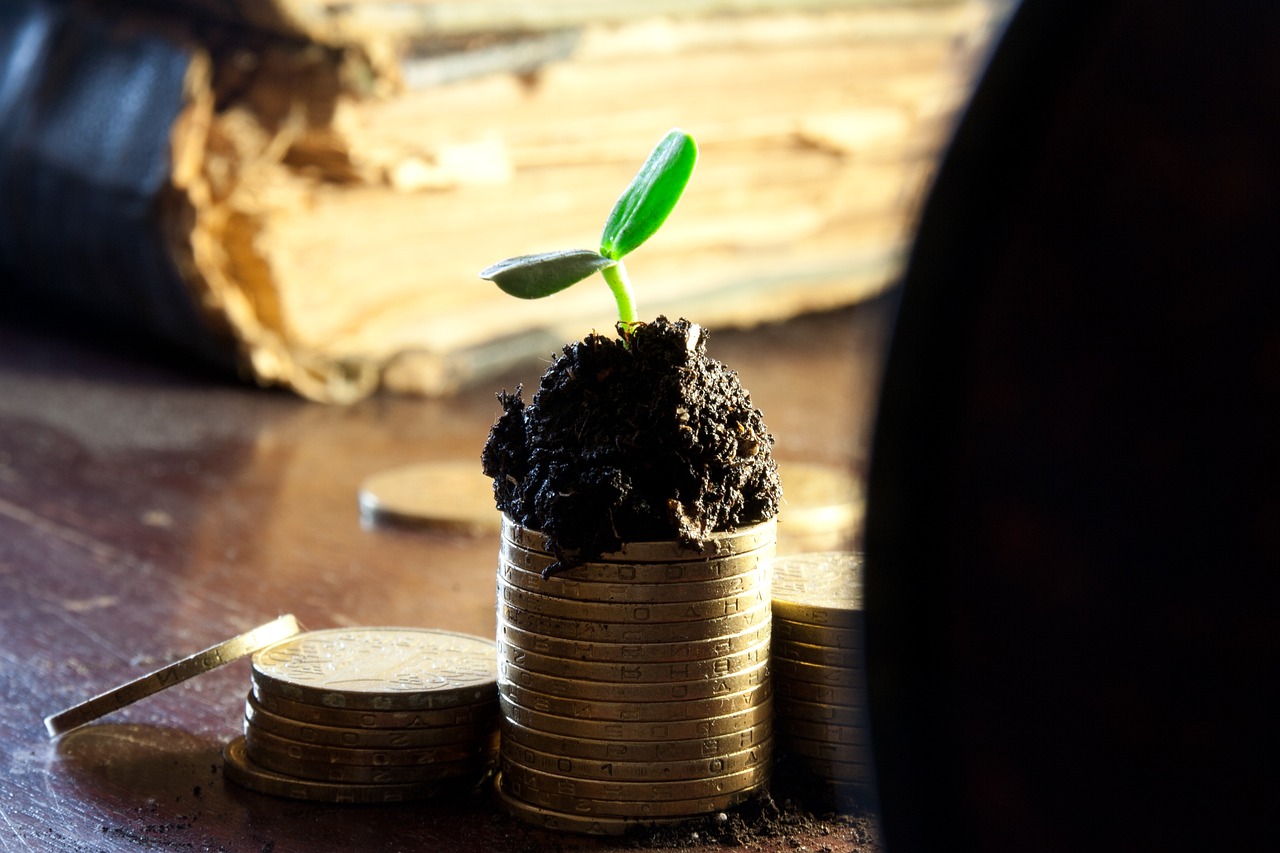 最新钼金属价格动态分析与趋势预测