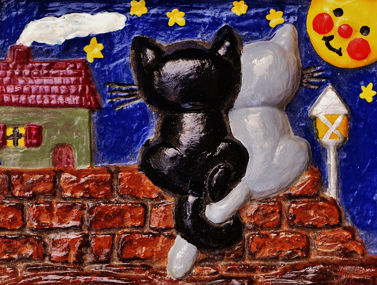 猫的头像与动漫的魅力交织，动漫猫头像的魅力展现