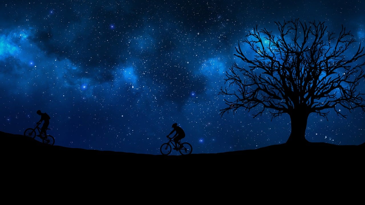 王安宇，璀璨明星之光的闪耀旅程