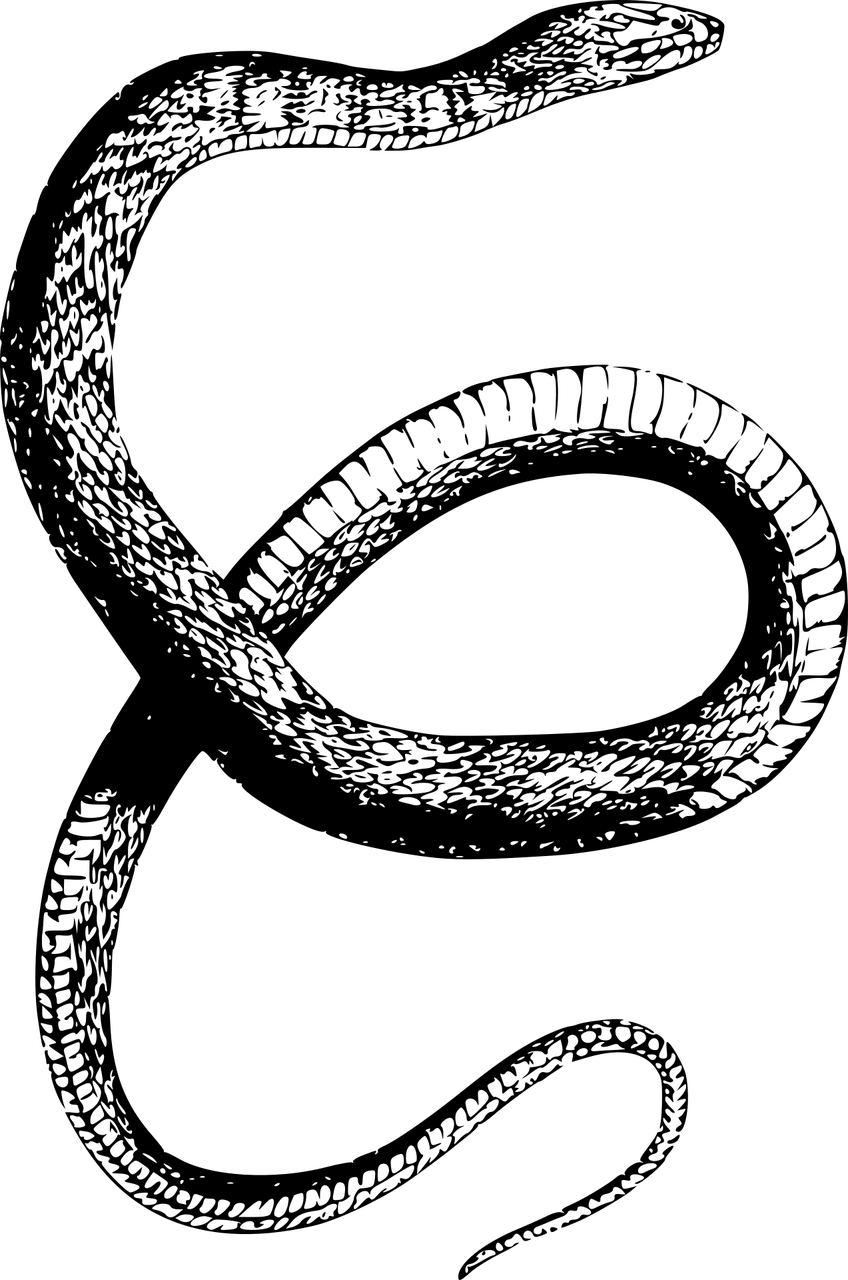 陌上画桑 第23页