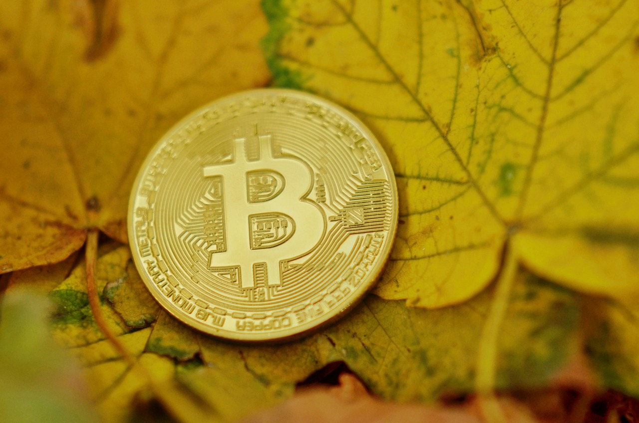 探索未来投资新领域与新模式，最新财富机遇揭秘