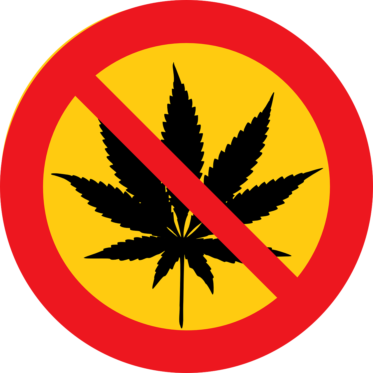 美国留学失踪事件最新进展深度解析，最新动态与解析