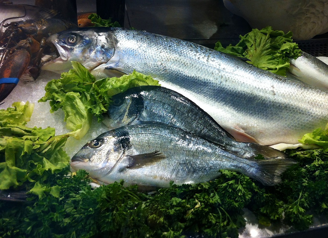 杭州海鲜盛宴，探索最新鲜海洋美食的极致体验