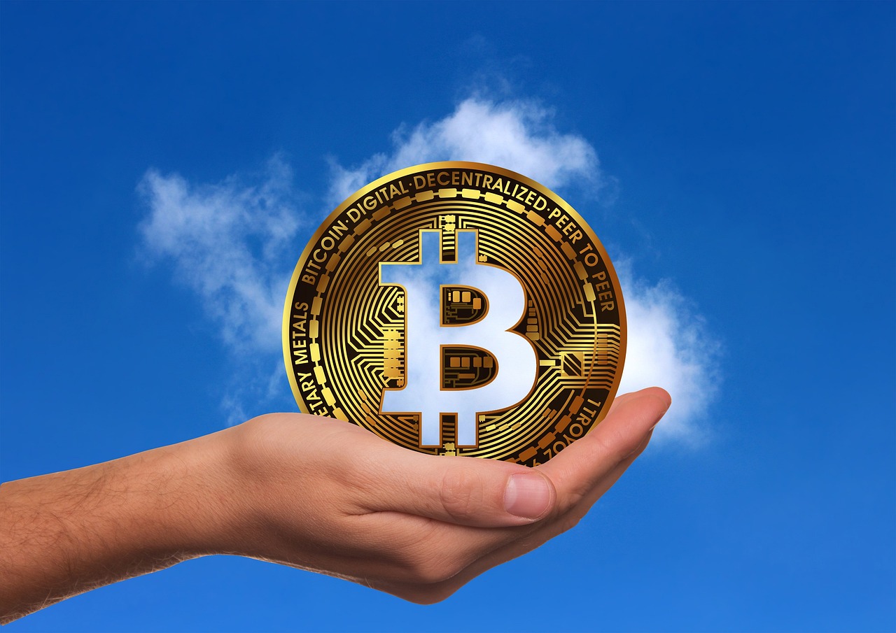 河北玉米价格最新行情分析（XXXX年全新报告）