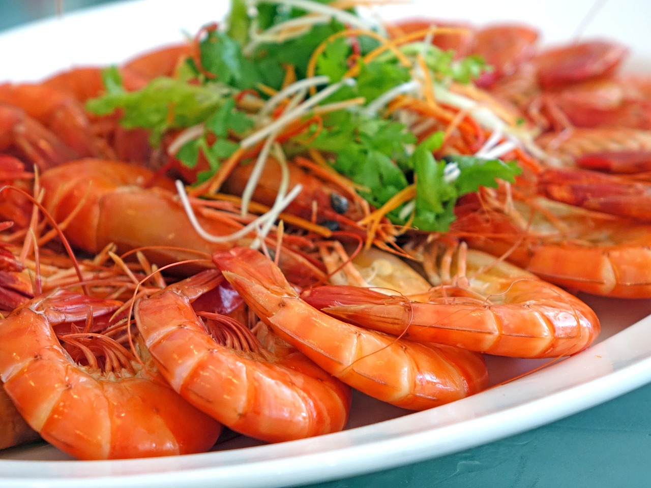 活虾新鲜度保持技巧，如何确保活虾最佳新鲜度