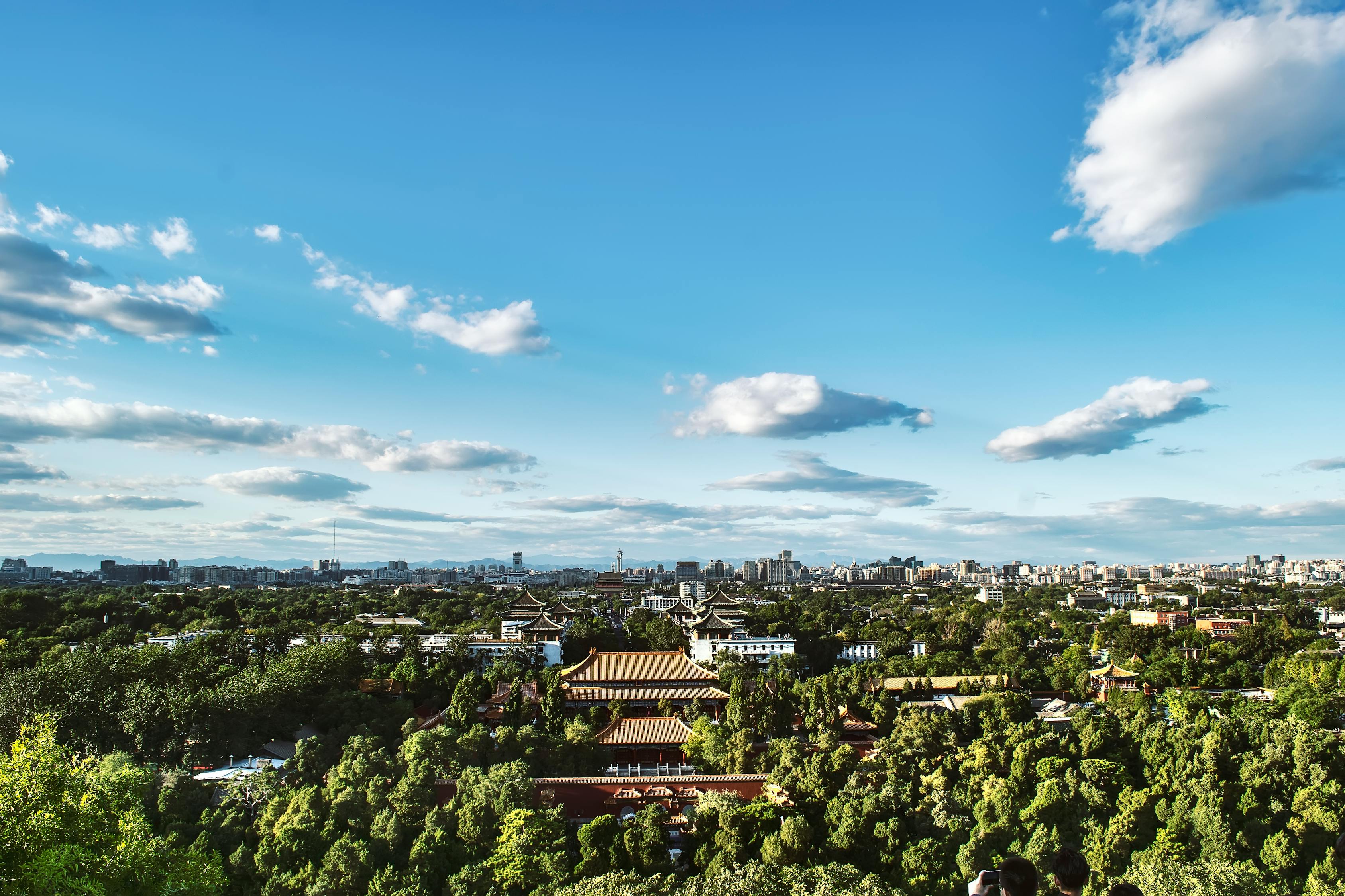 肇庆城市发展与民生改善最新报道，城市脉搏与民生脚步同步前行