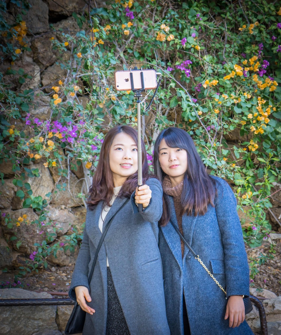 杨蕾最新写真，璀璨光芒的绽放之旅