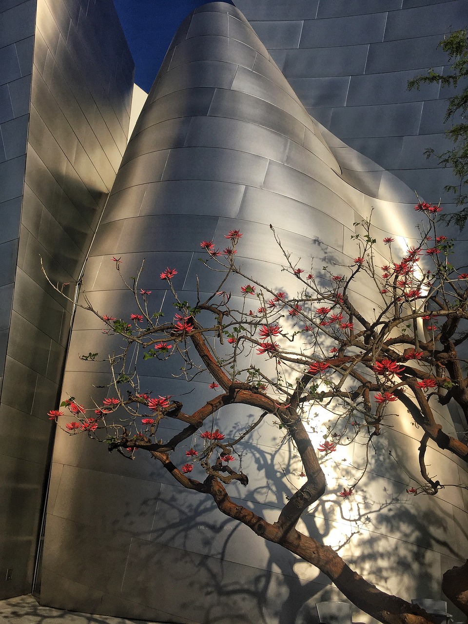 广州南沙自贸区蓬勃发展，引领未来发展新动态