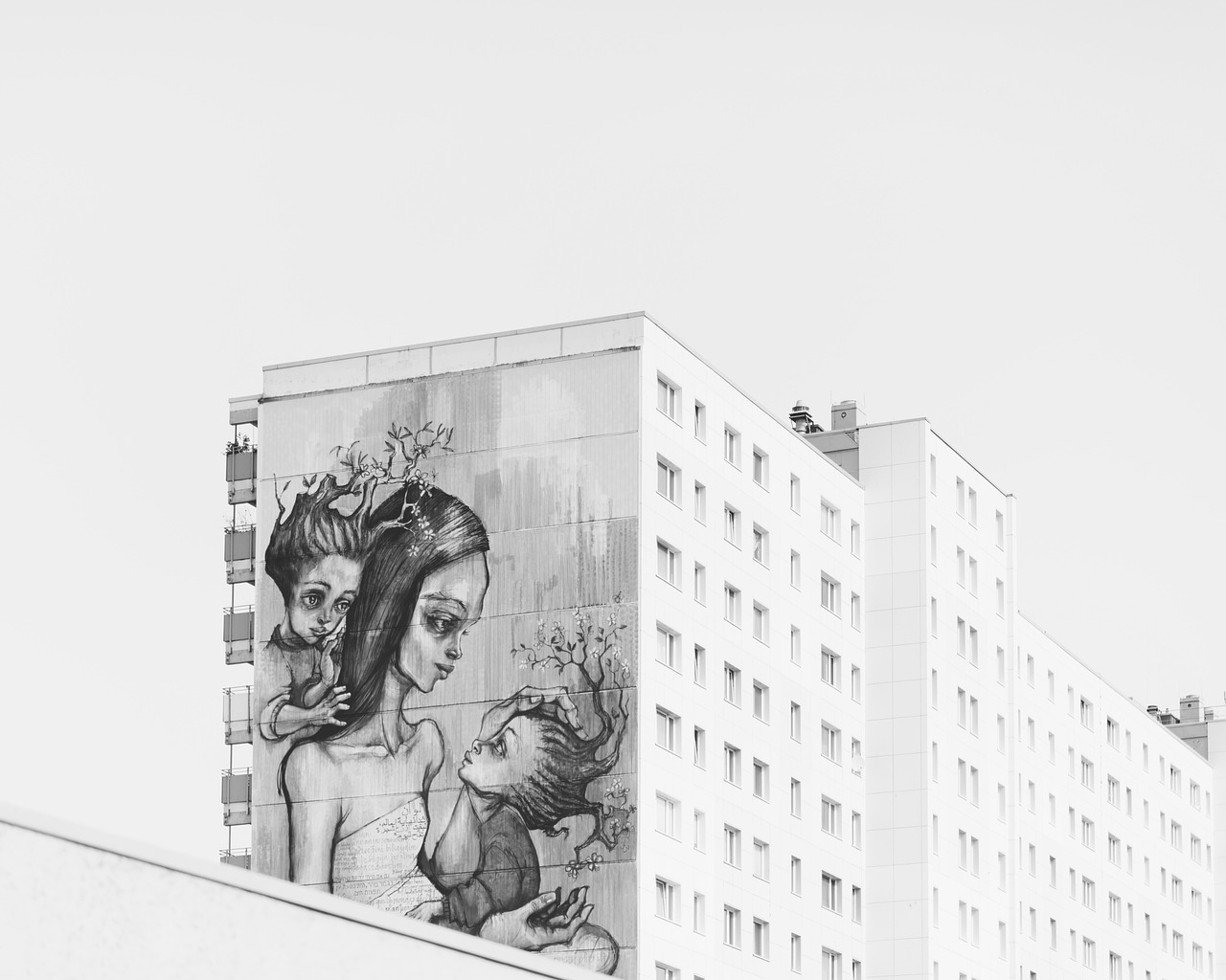 动漫上色教程，从入门到进阶的绘画指南