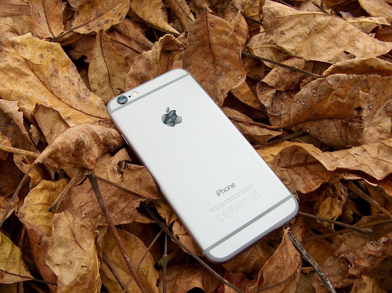苹果iPhone 5s最新价格查询，市场走势与购买建议