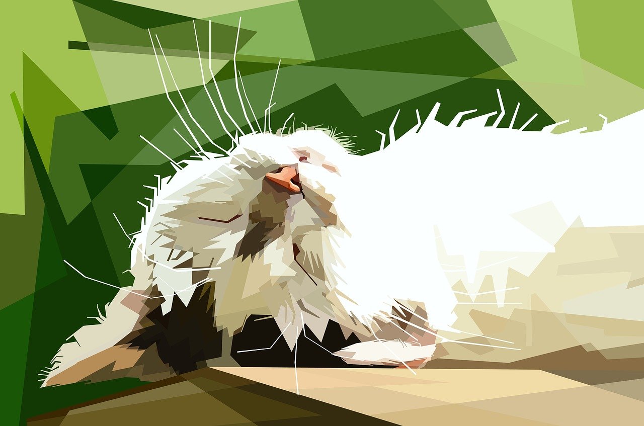 猫鼠游戏最新动态，持续创新，引领游戏界潮流前沿