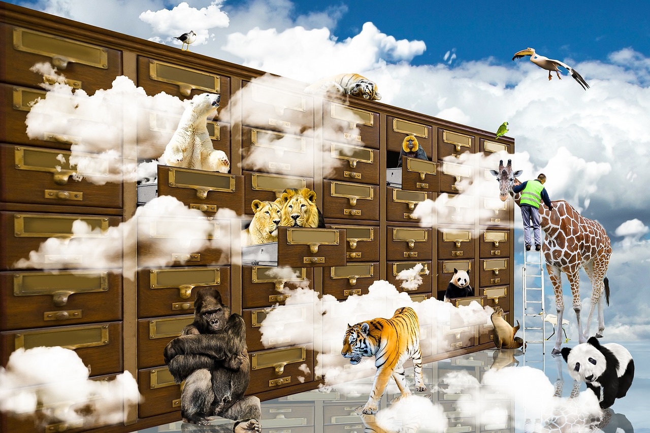 探寻神秘世界的奇幻之旅，东方辰夏最新章节揭秘