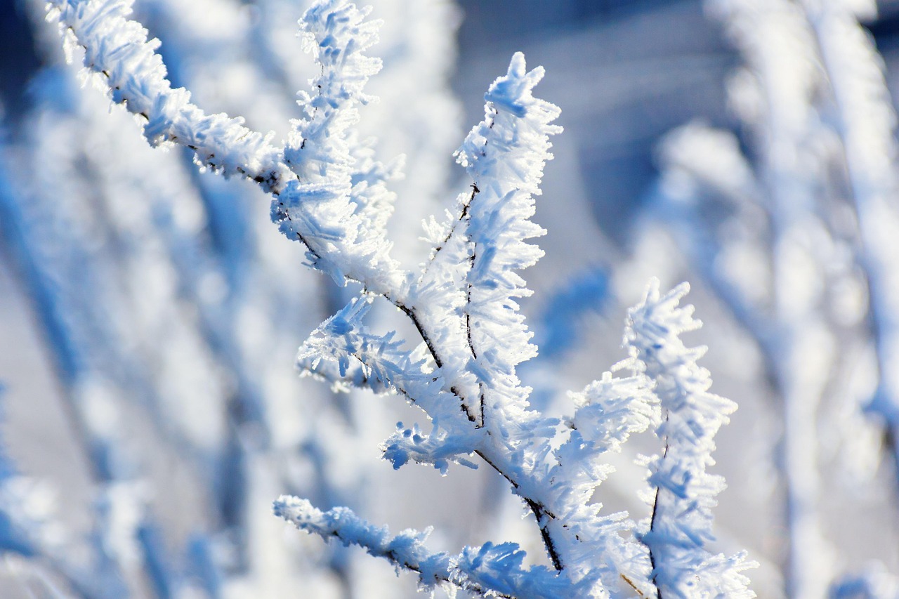 雪花霜电影，银幕上的冬日之恋