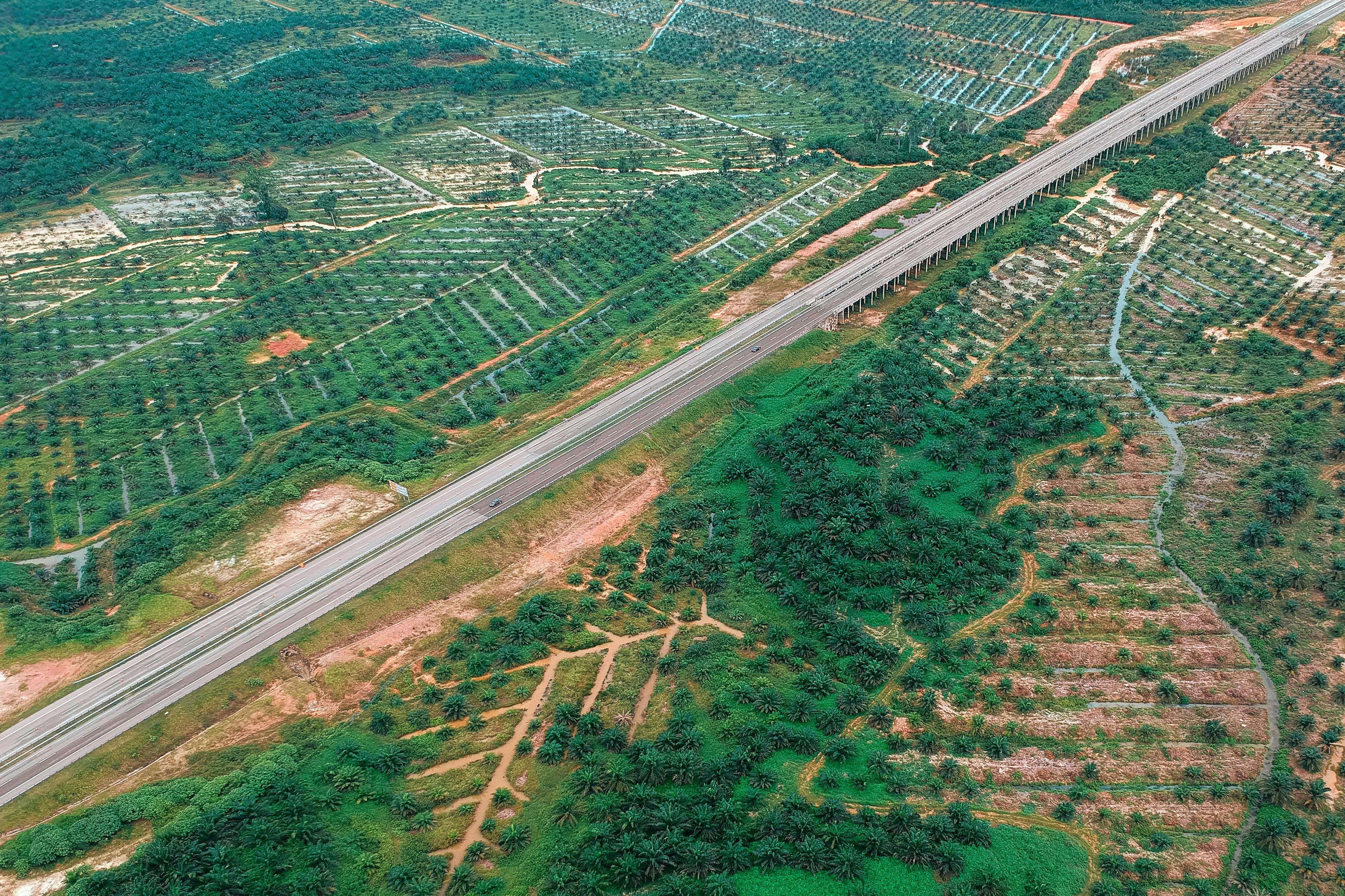 最新道路交通标志标线规范，提升道路安全与交通效率的关键举措