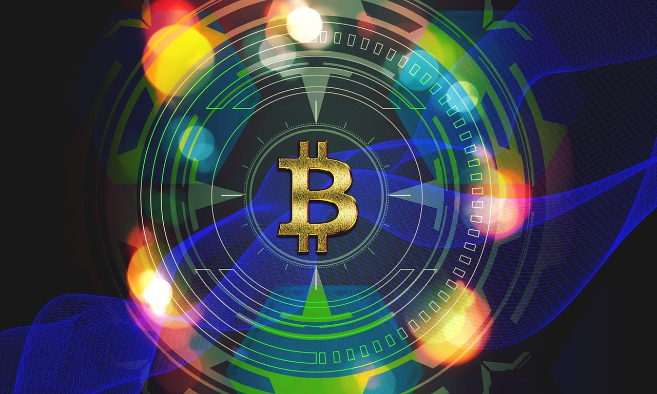 苗锦绣，演艺之路的闪耀之星