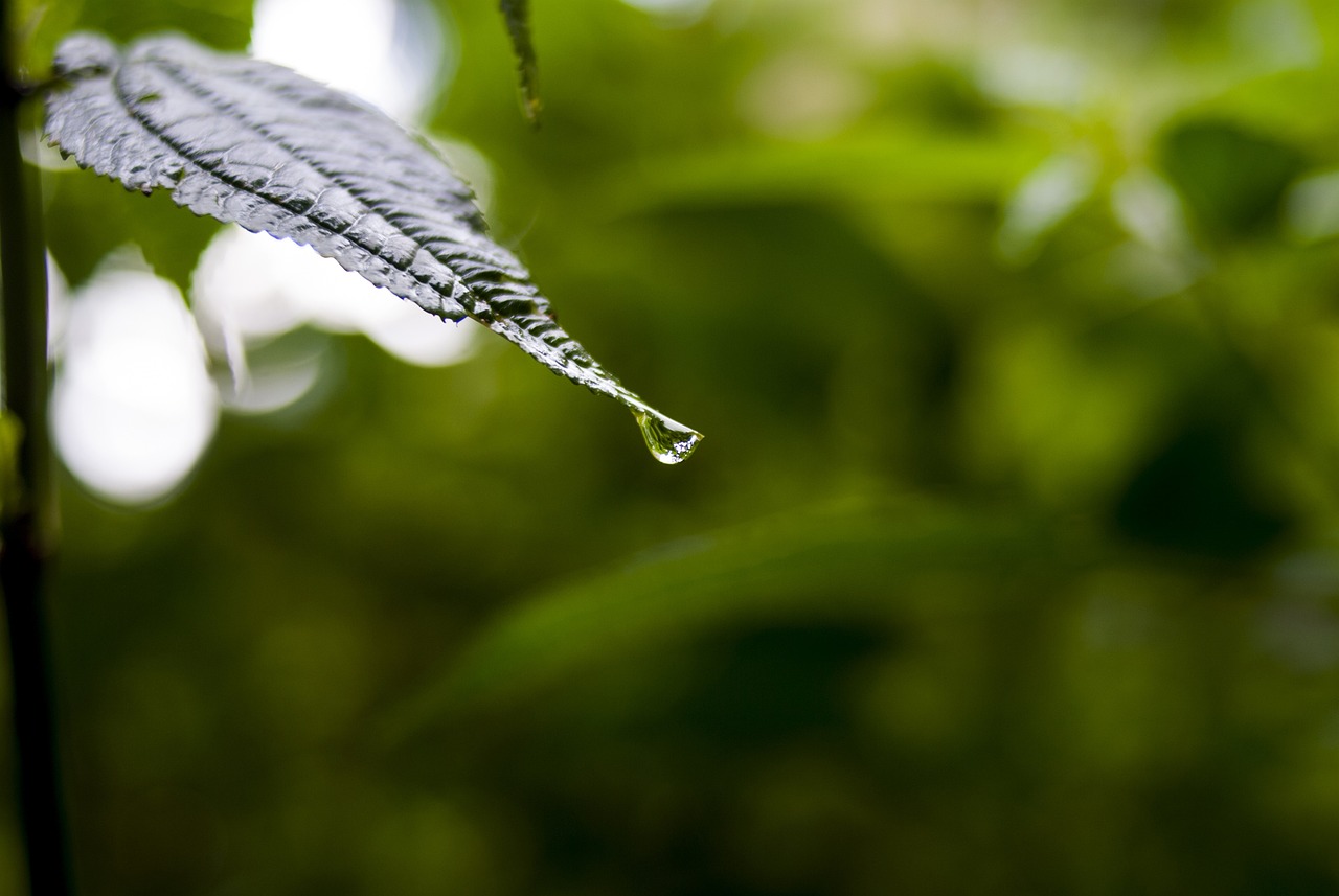 地震网最新消息今日汇总，全球地震动态与应对策略