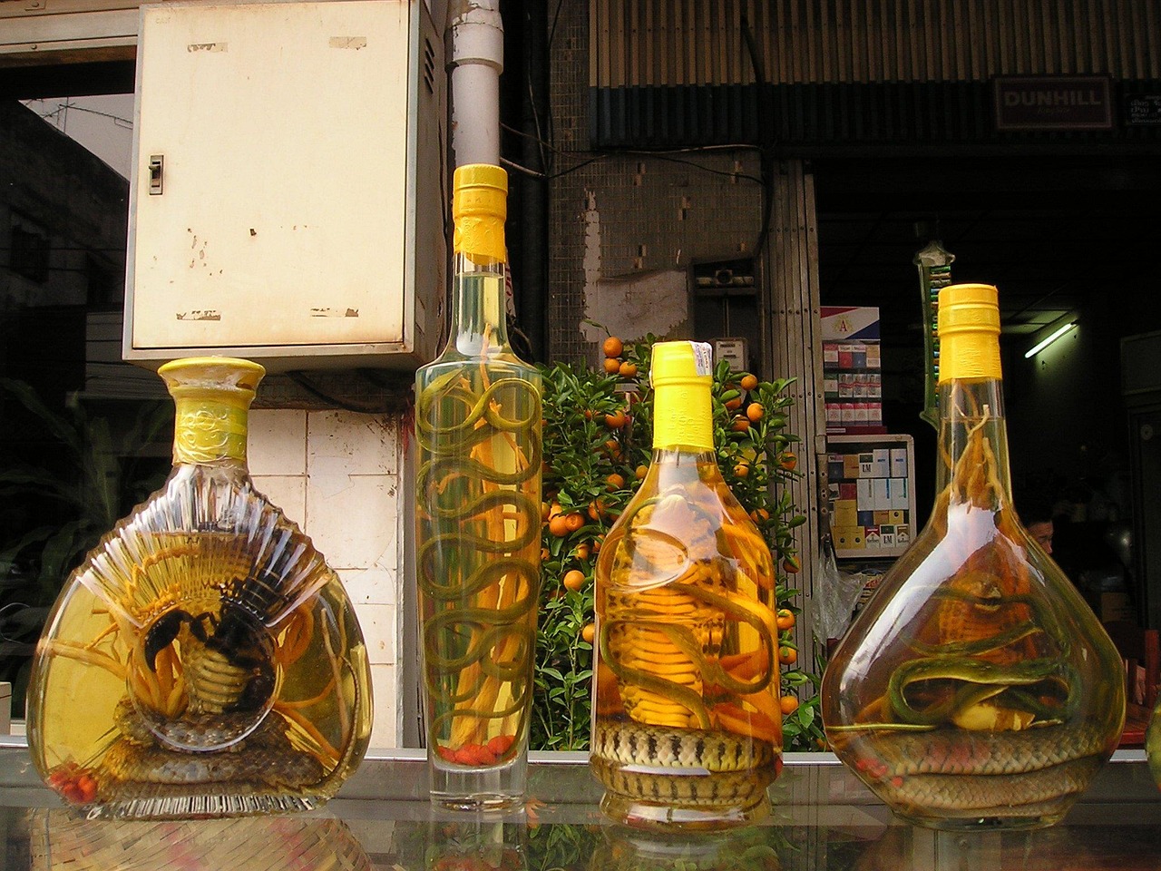 最新钟馗酒价格大全，全面汇总钟馗酒最新价格信息