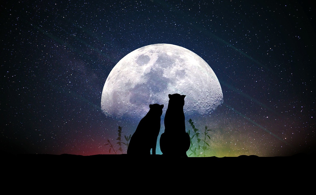 探索成为明星的成名之路，如何一步步迈向星光大道？