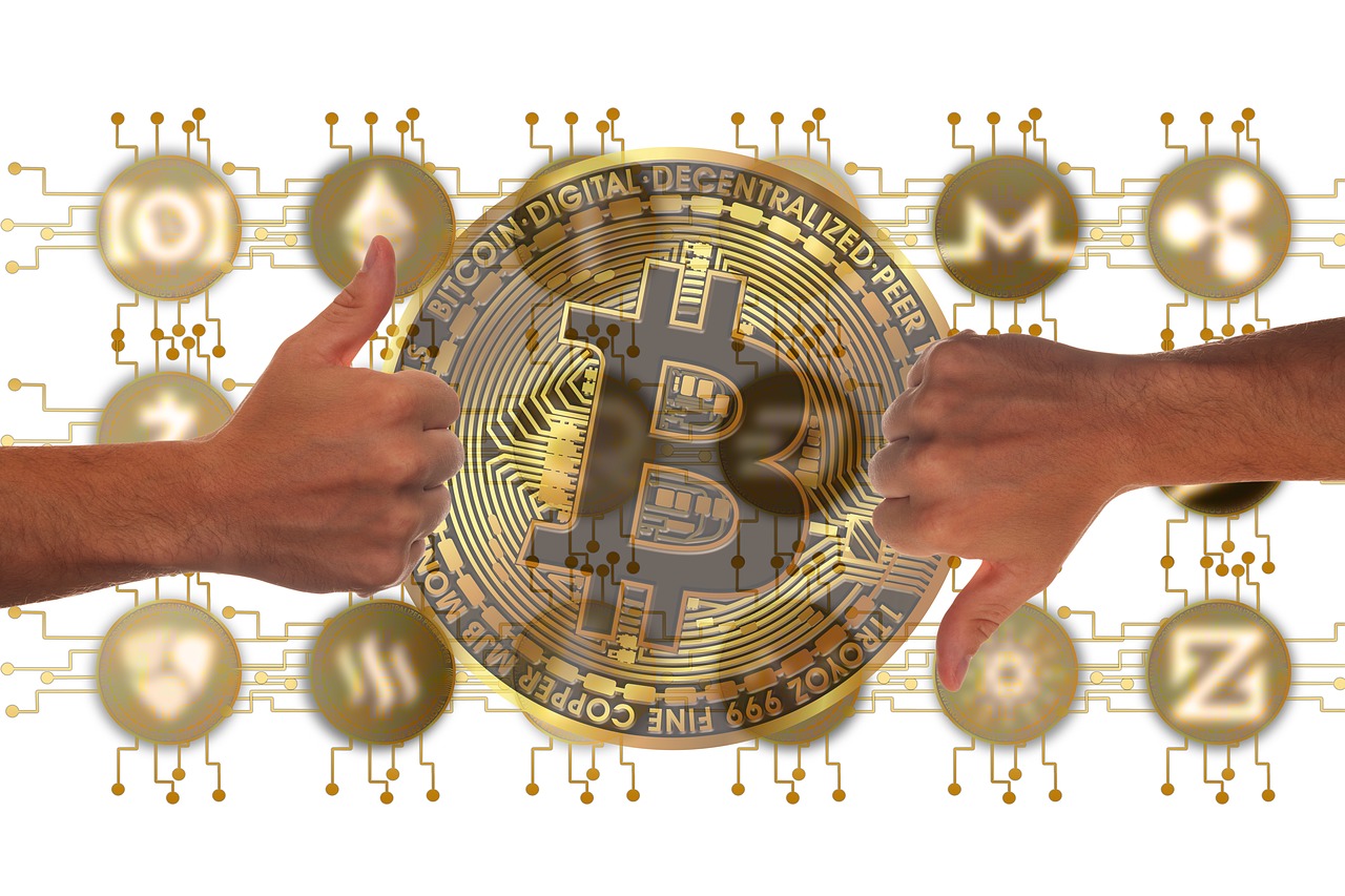 开国纪念币最新行情与行情分析概览